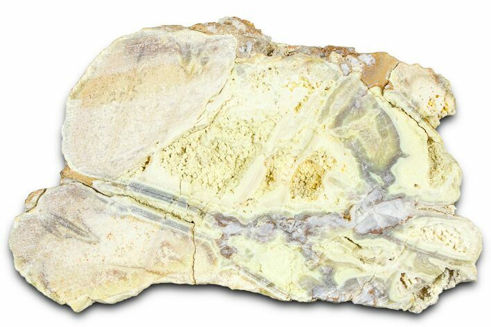 Clay Canyon Crandallite and Wardite - Old Collection Stock #362000